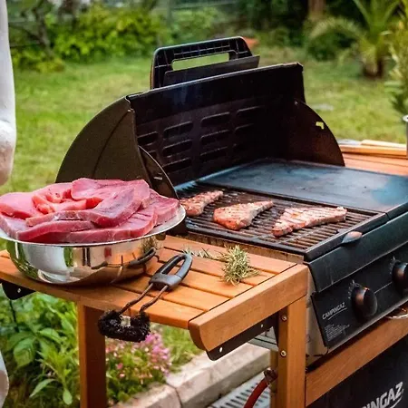 Karpatia Appartement